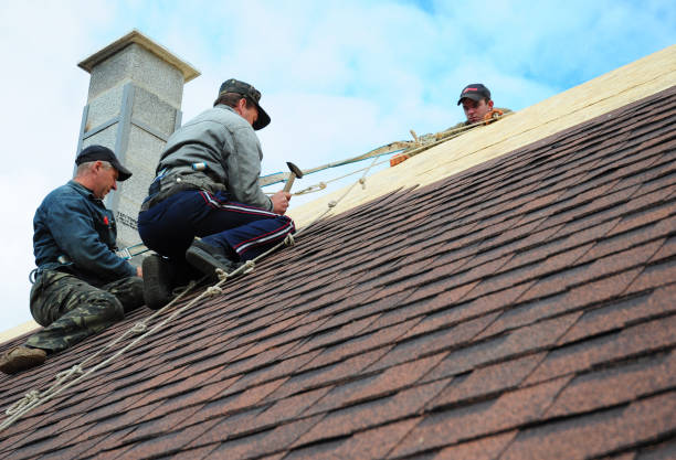 Best Local Roofing Companies  in Chenoa, IL